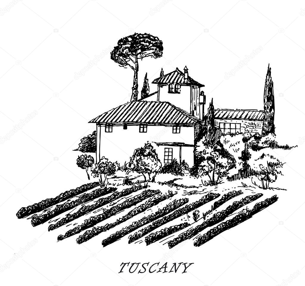 Tuscany. Italy. Rural landscape. Vintage design sketched vector