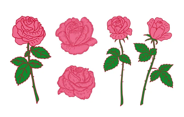 Rose Blume Set isoliert auf weißem Hintergrund. — Stockvektor