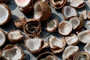 04 Kasım 2019 Hindistan cevizi üzerine hindistan cevizi sütü veya yağ yapmak için Hindistan cevizi üstüne hindistan cevizi.