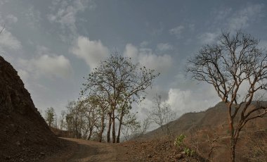 28 Haziran 2012 Orman Durt Yolu Kevadiya Kolonisi Sardar Sarovar Narmada Barajı yakınında GUJARAT INDIA asia