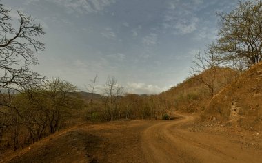 28 Haziran 2012 Orman Durt Yolu Kevadiya Kolonisi Sardar Sarovar Narmada Barajı yakınında GUJARAT INDIA asia