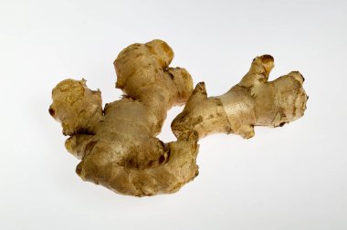 21 Kasım - 2004 Beyaz arka planda Ginger Kalyan Maharashtra INDIA