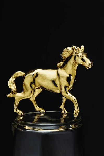 Abr 2004 Horse Golden Para Vitória Fama Luck — Fotografia de Stock