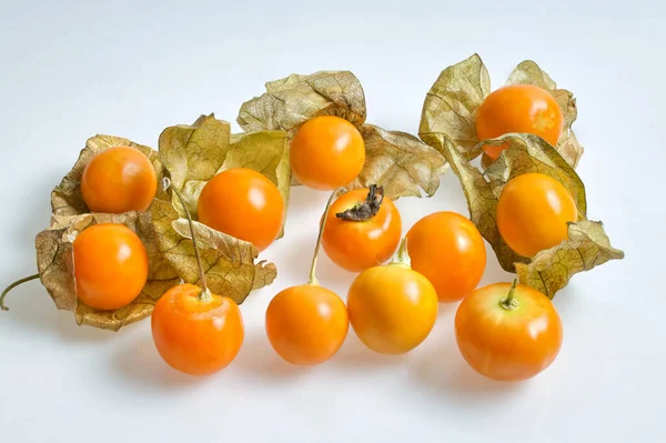 白背景的山莓角 Physalis Peruviana — 图库照片