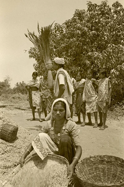 Maggio 2011 Tribel Farmar Raccolta Dance Manpur Village Taluk Vansda — Foto Stock