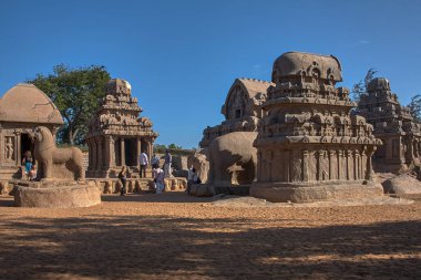 Hindistan Tamil Nadu Mamallapuram Mahabalipuram mandapas Panch 5 Ratha 7. yüzyıl Arjuna Ratha turist ağacı 