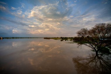  Godavari nehri Maharashtra Eyaleti 'nin Aurangabad ilçesinin Paithan taluka' daki Jayakwadi köyünün bulunduğu yerde..