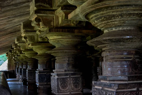 Juni 2013 Kamala Narayana Lord Narayana Alias Lord Vishnu Tempel — Stockfoto