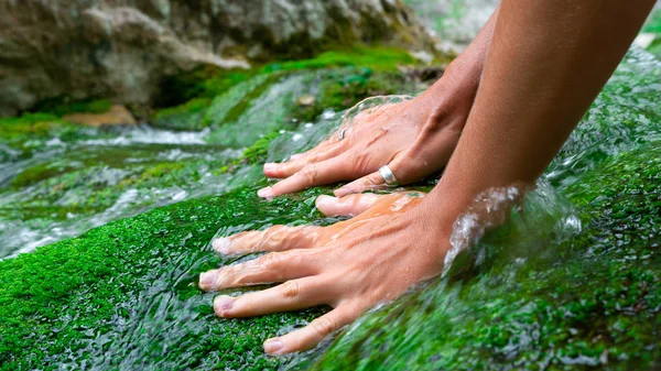 Womens handen beroerte Moss groeien in het heldere en transparante water van een berg rivier. Stockfoto