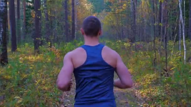 Un joven trotando por el bosque de otoño . — Vídeos de Stock