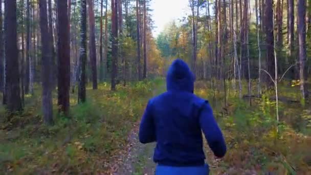 En ung man joggar genom höstskogen. — Stockvideo