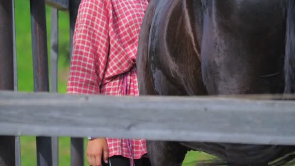 Teenager-Mädchen kümmert sich auf Bauernhof um Pferde. — Stockvideo