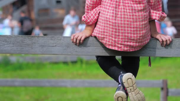 那姑娘坐在围场的木板上喂马. — 图库视频影像