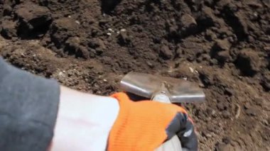 Bir çiftçi bahçesinde kürekle toprağı kazar.