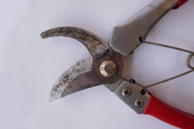Beyaz arkaplanda bahçe budama makinesi, makas ya da kesitörler