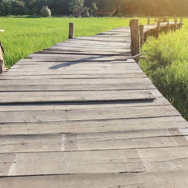 Tahta köprünün manzarası çok güzel. Sabah pirinç tarlasında ahşap bir bank var..