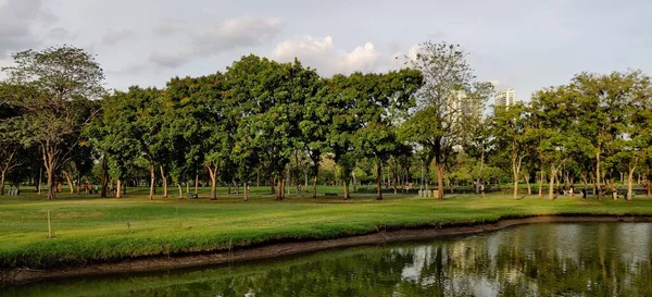 バンコク 2020年6月12日 夏の公園での人々の活動 都市の屋外ワークアウト 健康的なライフスタイルのコンセプト — ストック写真