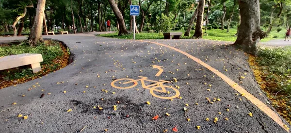 Bangkok / Tayland - 12 Haziran 2020: Park alanındaki insan aktiviteleri yaz sezonu ile birlikte, şehir dışı idmanı. Sağlıklı yaşam tarzı kavramı.