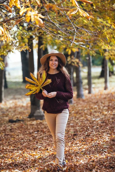 Happy smile young woman walking outdoors in autumn park in cozy sweater and hat. Warm sunny weather. Fall concept. Copy space — Stock Photo, Image