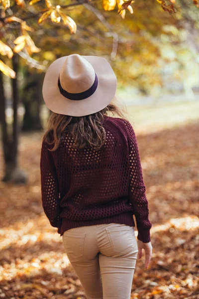 Rear view of brunette girl in autumn fall park in brown hat, sweater and trousers. Back view of autumn portrait of woman outdoors with curly hair.Copy-space. — Stock Photo, Image