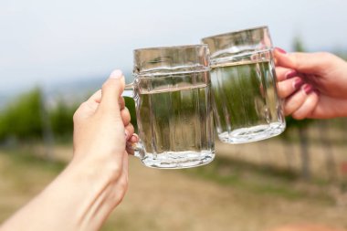 İki kadeh beyaz şarap ve soda soda. Soğuk refreshmemt içecekler, arka planlar üzerinde eller tarafından kodes bardak üzüm yaprakları Heuriger lokali Avusturya
