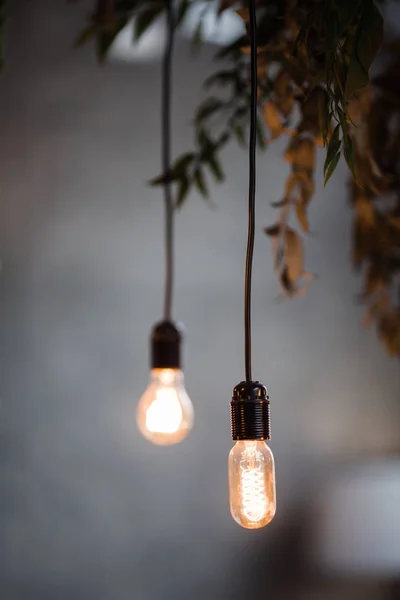 Ampoule Rétro Suspendue Sur Fond Flou Gris Verdure Avec Lampes — Photo