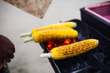 ızgara Mısır günbatımı zamanı, Barbekü kavramı sırasında denize yakın