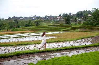 Pirinç terasları, Bali üzerinde yürüme beyaz elbiseli esmer kadın. Jatiluwih pirinç tarlaları. Grafik çizgileri ve su yemyeşil yeşil alanları. Yağmurlu