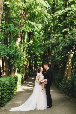 Mutlu gelin ve damat Park, orman, birbirimizi gentle.newlyweds beyaz dantel elbise ve klasik siyah takım seyir açık yeşil ağaçların güzel manzara içinde portre