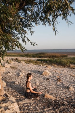 İnce yapılı esmer genç kadın pratik Yoga içinde Lotus pozisyonu At kum beach büyük yeşil ağaç altında rahatlatıcı. Uzay kopyalayın. Sağlıklı stil spor.