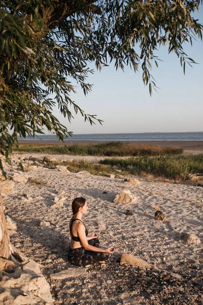 Slim bruna rilassante giovane donna Pratica Yoga In Lotus Posizione Sulla spiaggia di sabbia sotto un grande albero verde. Ricevuto. Sport in stile sano . — Foto Stock