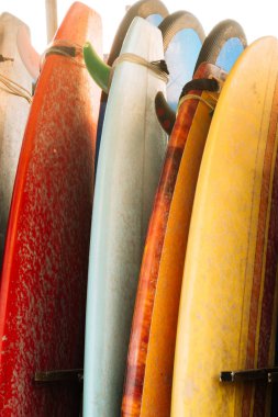 Çok renkli surf kurulları okyanus tarafından bir yığın halinde kümesi. Kiralık kum plajındaki Bali.Indonesia. sörf tahtaları. Sörf dersi Weligama plajda, Sri Lanka.