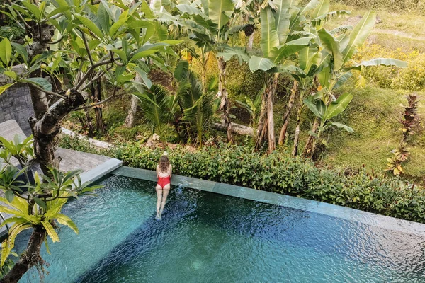 Lány a piros bikini egy privát medence Bali csodálja a gyönyörű kilátás a pálmafák. Luxus üdülés. Az asszony pihen a medencében, gyönyörű kilátással a pálmafák a szigeten Bali. — Stock Fotó