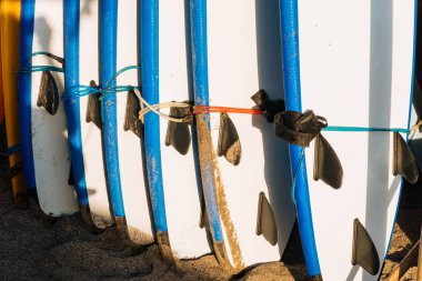 Birçok tek yüzgeçmavi ve sörf tasma ile uzun tahta sörf kiralık hazır. Okyanus tarafından bir yığın içinde çok renkli sörf tahtaları kümesi. Yaz tatilinde sörf dersleri, su sporları ve macera kampı.