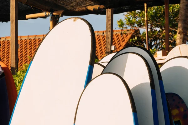 Närbild Uppsättning av vit och blå surfbräda för uthyrning på stranden. Flerfärgade surfbrädor i olika storlekar och färger surfbrädor på stativ, surfbrädor hyresplats — Stockfoto