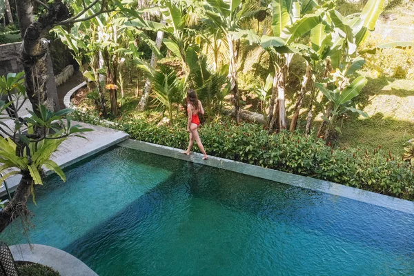 Vista posterior de la mujer en bikini rojo caminando en el borde de la piscina en Bali admira una hermosa vista de las palmeras.Vacaciones de lujo.Niña descansando en la isla de Bali. Copiar espacio. Concepto de vacaciones —  Fotos de Stock