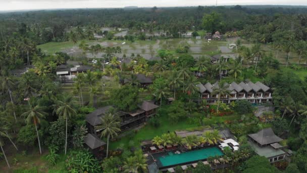 Letecký pohled na luxusní hotel se slaměnými střešními vilami a bazény v tropické džungli a palmách. Luxusní vila, pavilon v lese, Ubud, Bali — Stock video