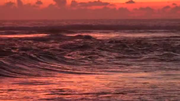 Close up video hullámok hab gördülő fel naplemente narancs színű fény fekete vulkanikus homok óceán strand, Bali, Indonézia — Stock videók