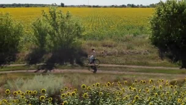 Gökyüzü insansız hava aracı görüntüleri güzel kırsal toprak yolda bisiklet süren bir kadının çiçek açan ayçiçeği tarlaları arasındaki görüntüsü. Mutlu tatiller ya da güneşli yaz günlerinde egzersiz. Sağlıklı bisiklet yaşam tarzı — Stok video
