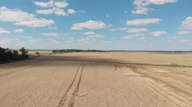 Mavi gökyüzü ve bulutları olan panoramik altın buğday tarlaları. İnsansız hava aracı hava görüşüyle tarlalara doğru ilerliyordu. Tarım sahnesinin en üst görünümü