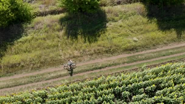 Vidéo aérienne de drone de vue de dessus personne méconnaissable à vélo sur la route de terre de campagne entre les champs de tournesol en fleurs. Joyeuses vacances sur la journée ensoleillée d'été. — Video