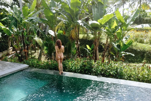 Back view of woman in bikini in a private pool in Bali admires a beautiful view of the palm trees.Luxury holiday.Girl resting on the island of Bali. Copy space. Vacation concept.