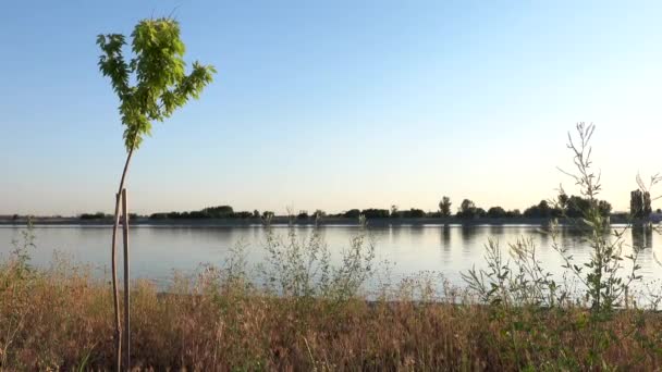 Brzeg rzeki o zachodzie słońca. Lakeshore poza miastem, wiejska scena w letniej wsi — Wideo stockowe