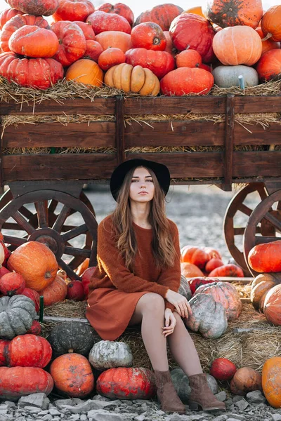Portrait of happy woman posing near wagon with orange pumpkin on farmers market in brown sweater, dress and hat. Cozy autumn vibes Halloween, Thanksgiving day. — Stock Photo, Image