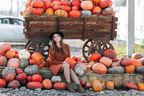 Glad leende kvinna sitter med pumpa i händerna nära vagnen med orange pumpa på bondens marknad i brun tröja, klänning och hatt. Mysiga höstvibbar Halloween, Thanksgiving dag — Stockfoto