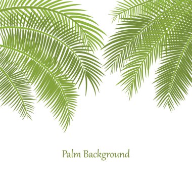 Palmiye yapraklarıyla dekoratif çerçeve. Yukarıdan sarkan yeşil palmiye dalları. Yazıtlar için beyaz arka plan. Minimalist stil. Vektör düz çizim. Kırpma maskesi altında elementler