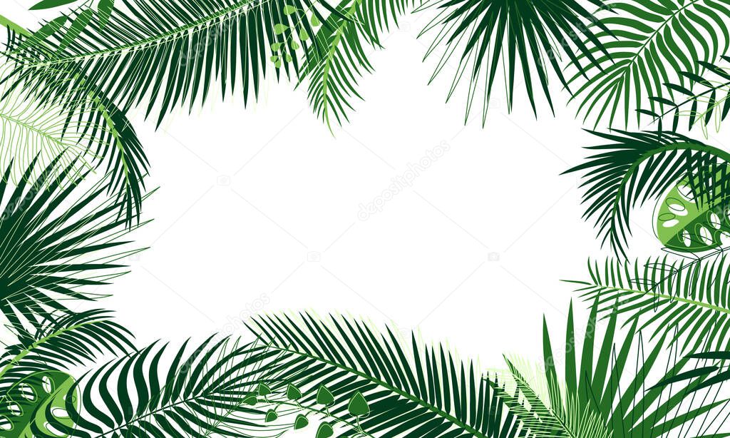 Frame of tropical foliage. Border with palm branch, leaves, monstera, green exotic grass. Rainforest concept, banner. Floral background, web design, ad. Elements under the mask, editable. Place text