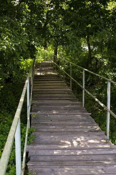 Escaleras Madera Con Barandillas Hierro Largo Del Matorral Árboles Hierba —  Fotos de Stock