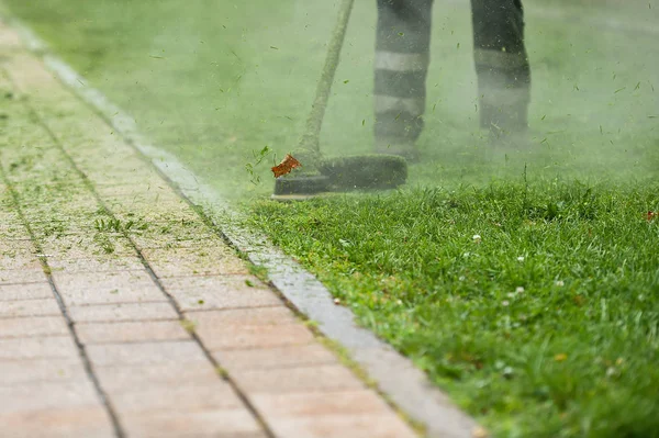 Hukuk biçme makinesi adam kesme çimen şehir