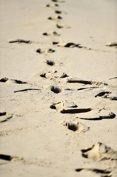 Detalhe Tiro Com Pegadas Homem Areia Uma Praia — Fotografia de Stock